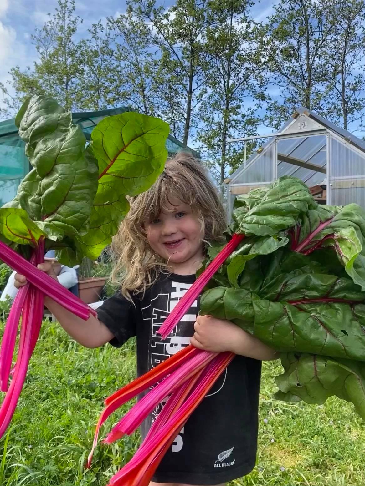 Prepping and picking 