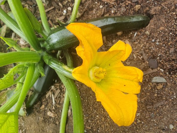 Friday Top Tips – Getting ready for the Holidays