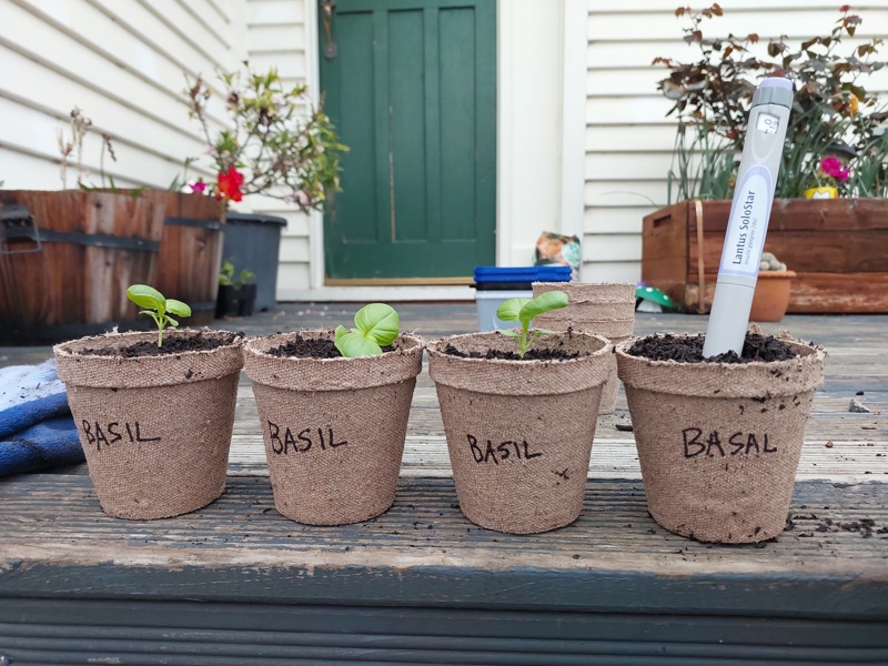 What the basil?!
