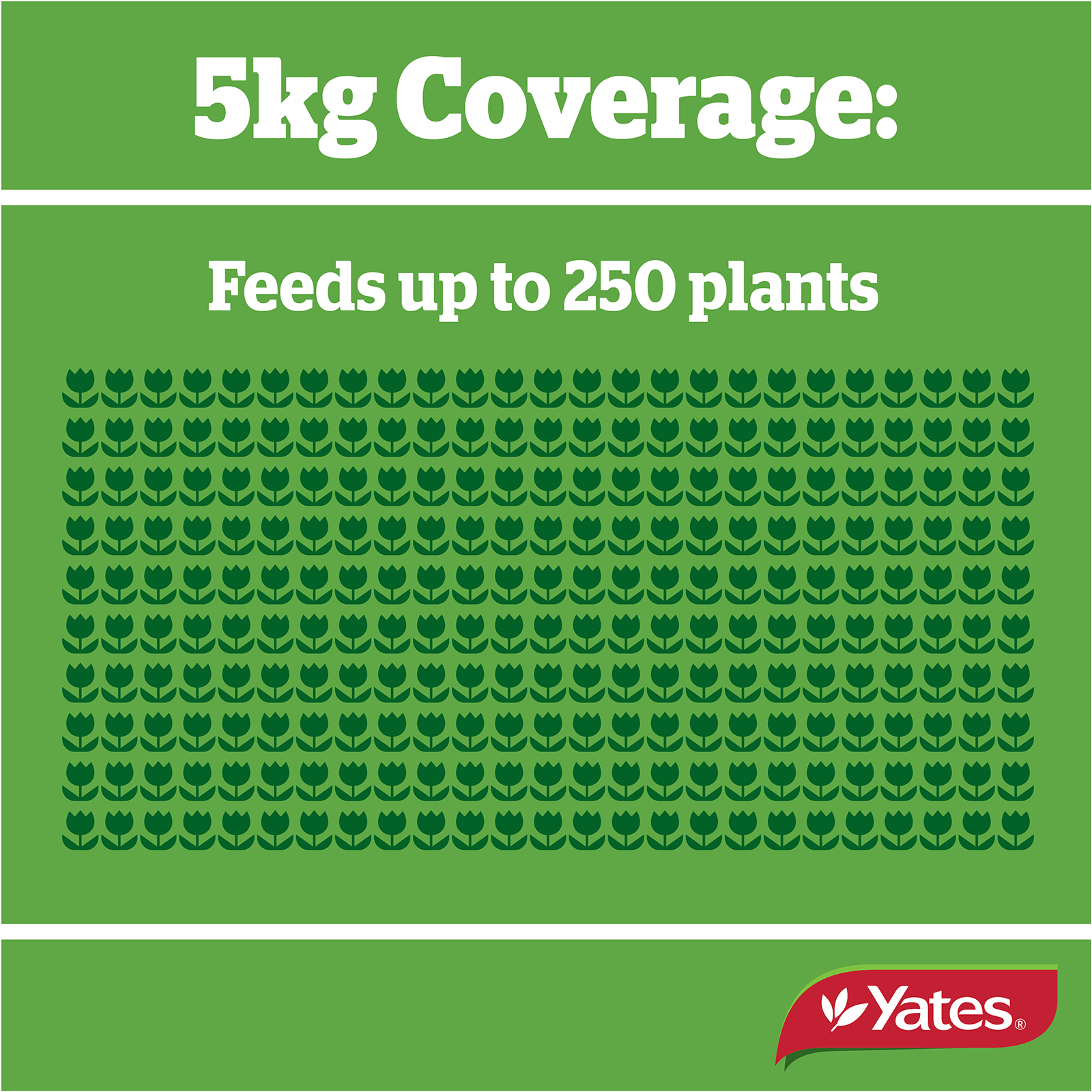 Yates Roses And Flowers Granulars V1 02