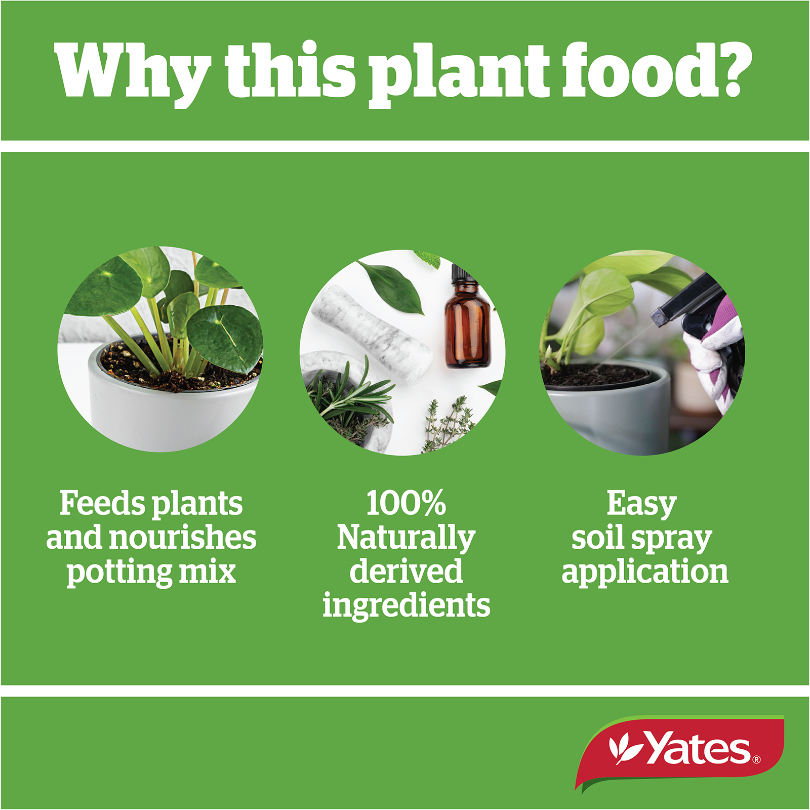 Yates Indoor Spray V2 05