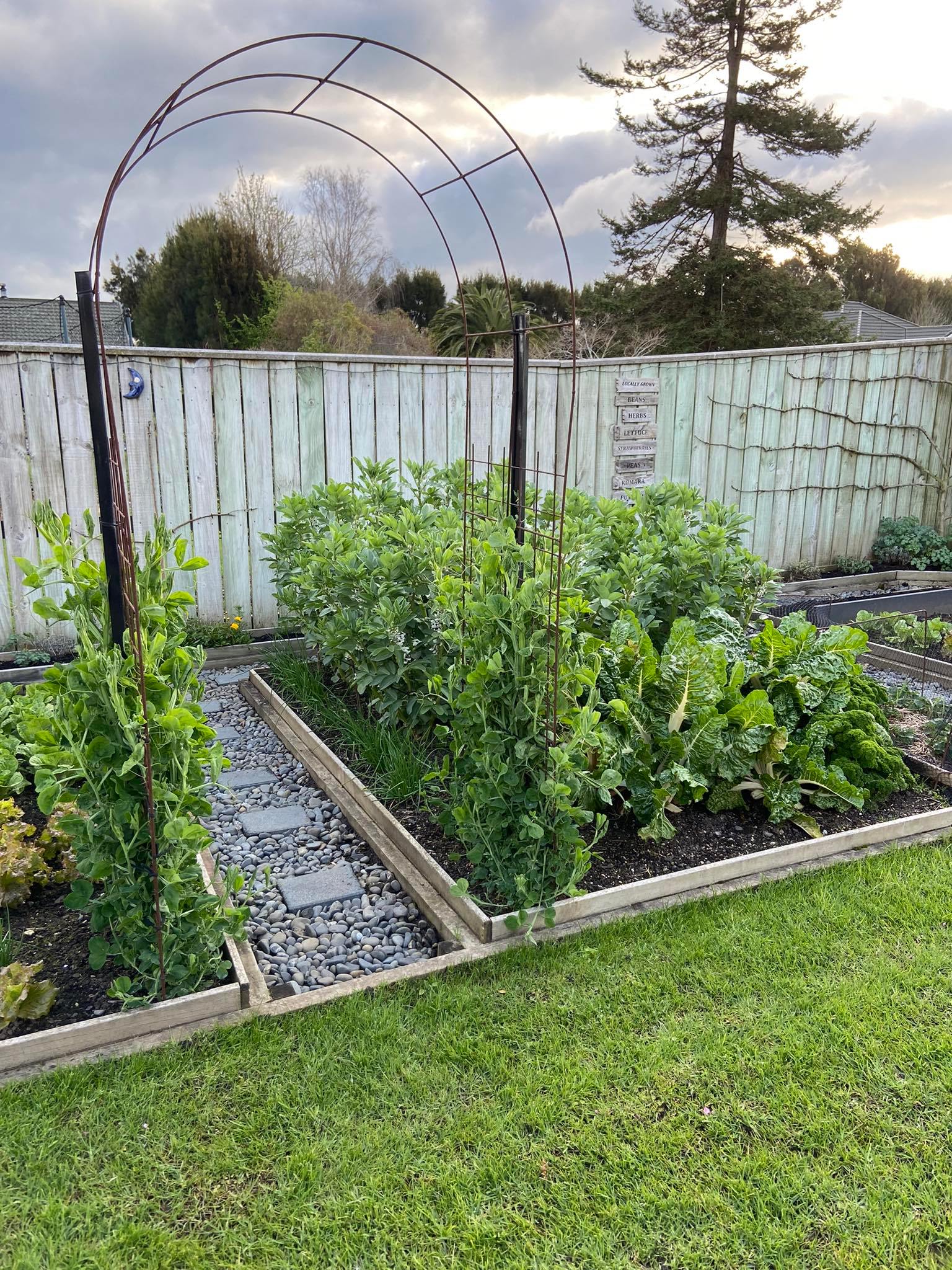 Green on Green on Green