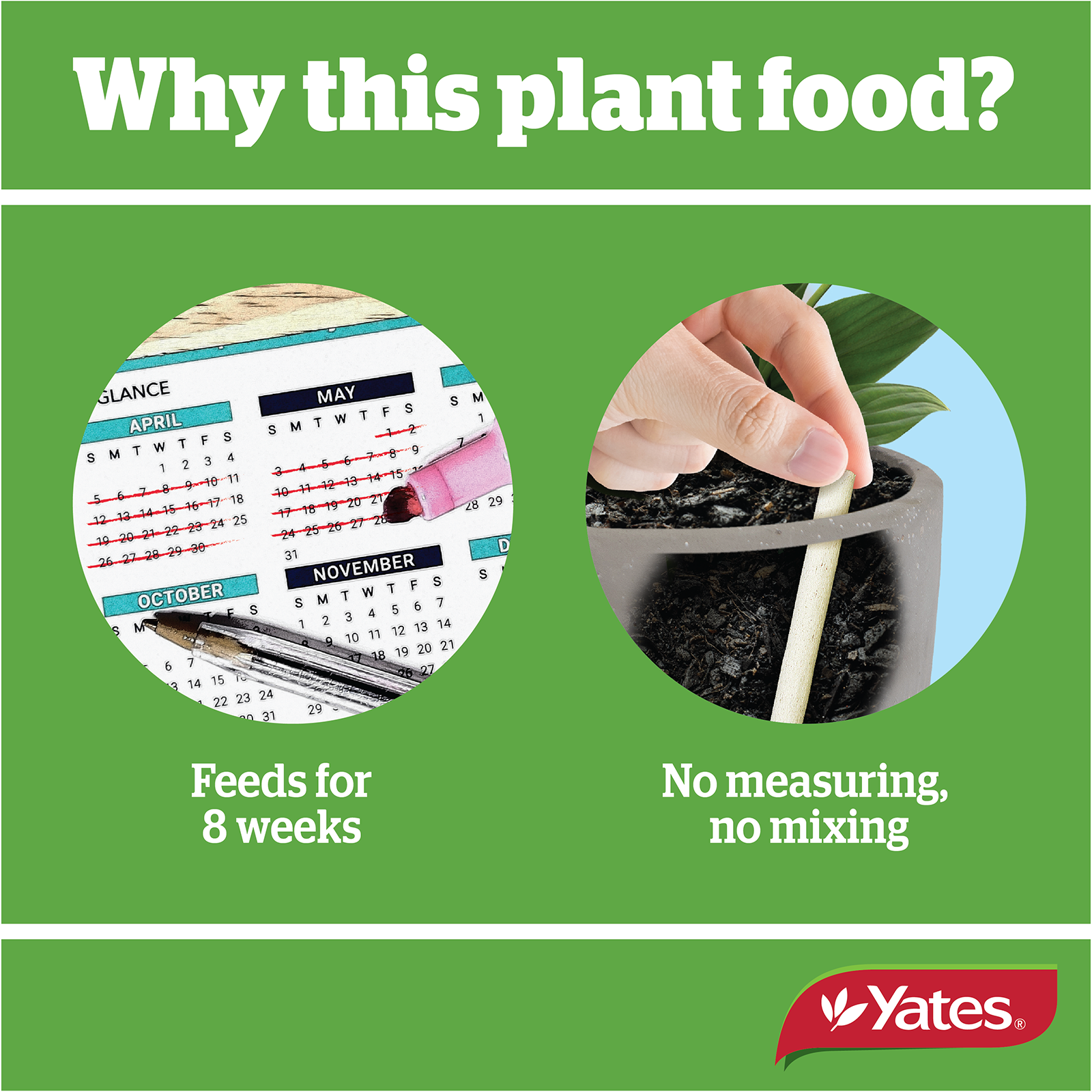 Yates Plant Spikes Indoor V2 05