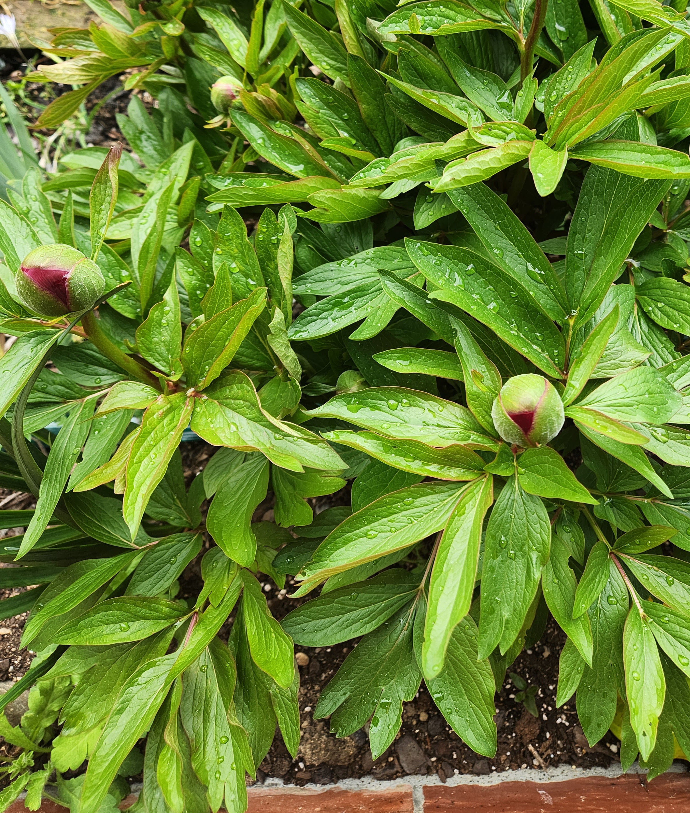 Not all doom and gloom