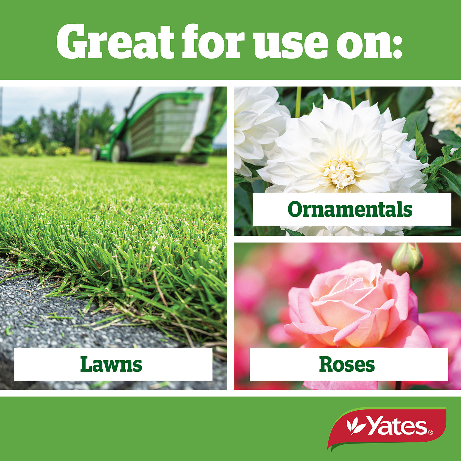 Yates Web Info FUNGUS FIGHTER V2 03