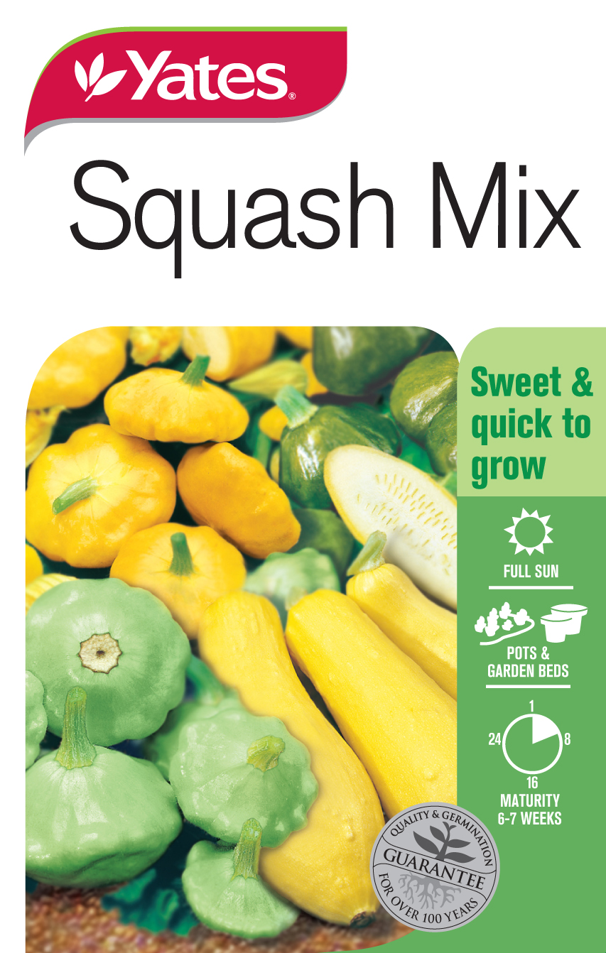 Zucchini 'Squash Mix'