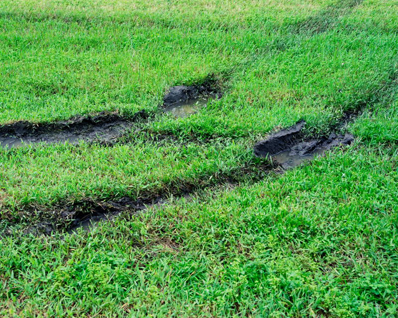 Waterlogged Winter Lawn? How to Avoid Permanent Damage