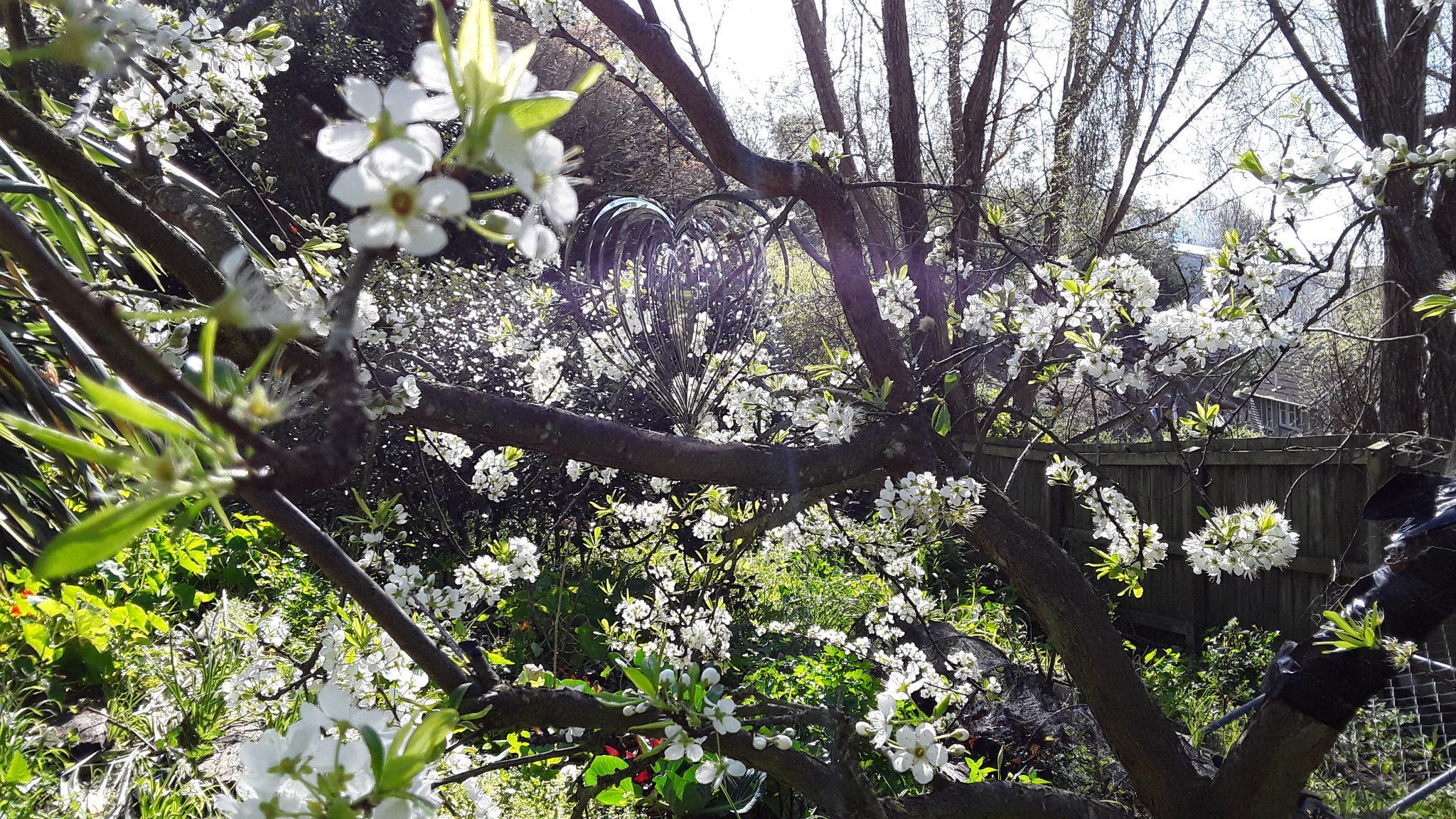 It's  comming alive!