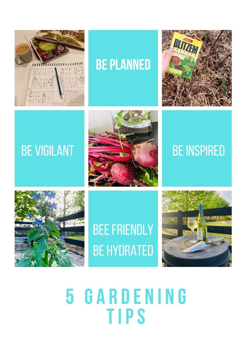Tips for Gardening