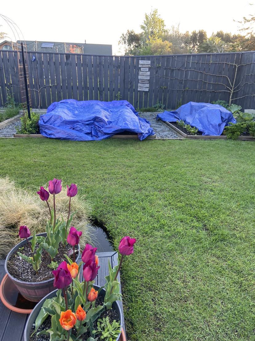 Taties Tucked up Tight!