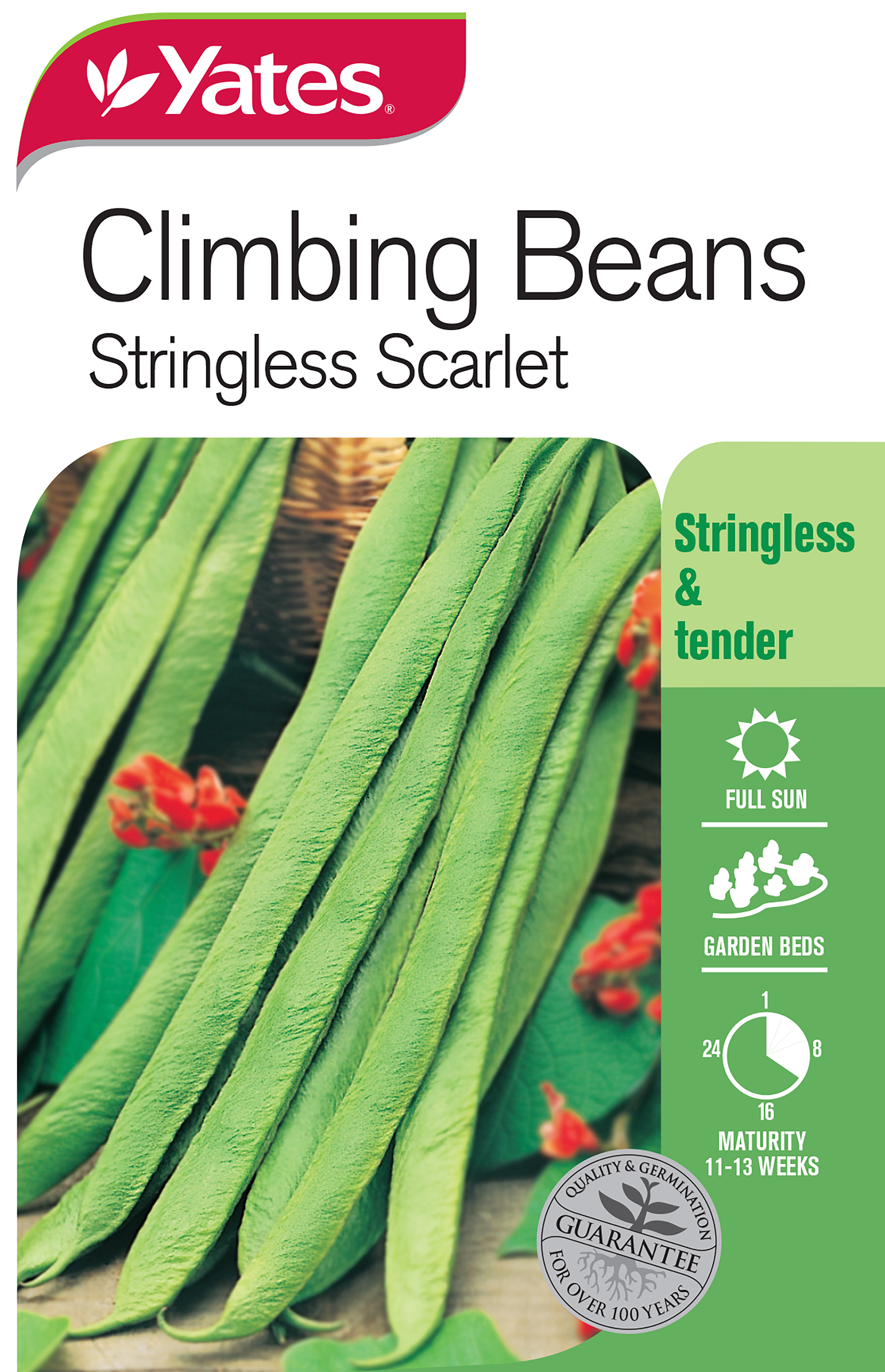 54152 Yates Vege Beans Stringless Scarlet Packet Seed