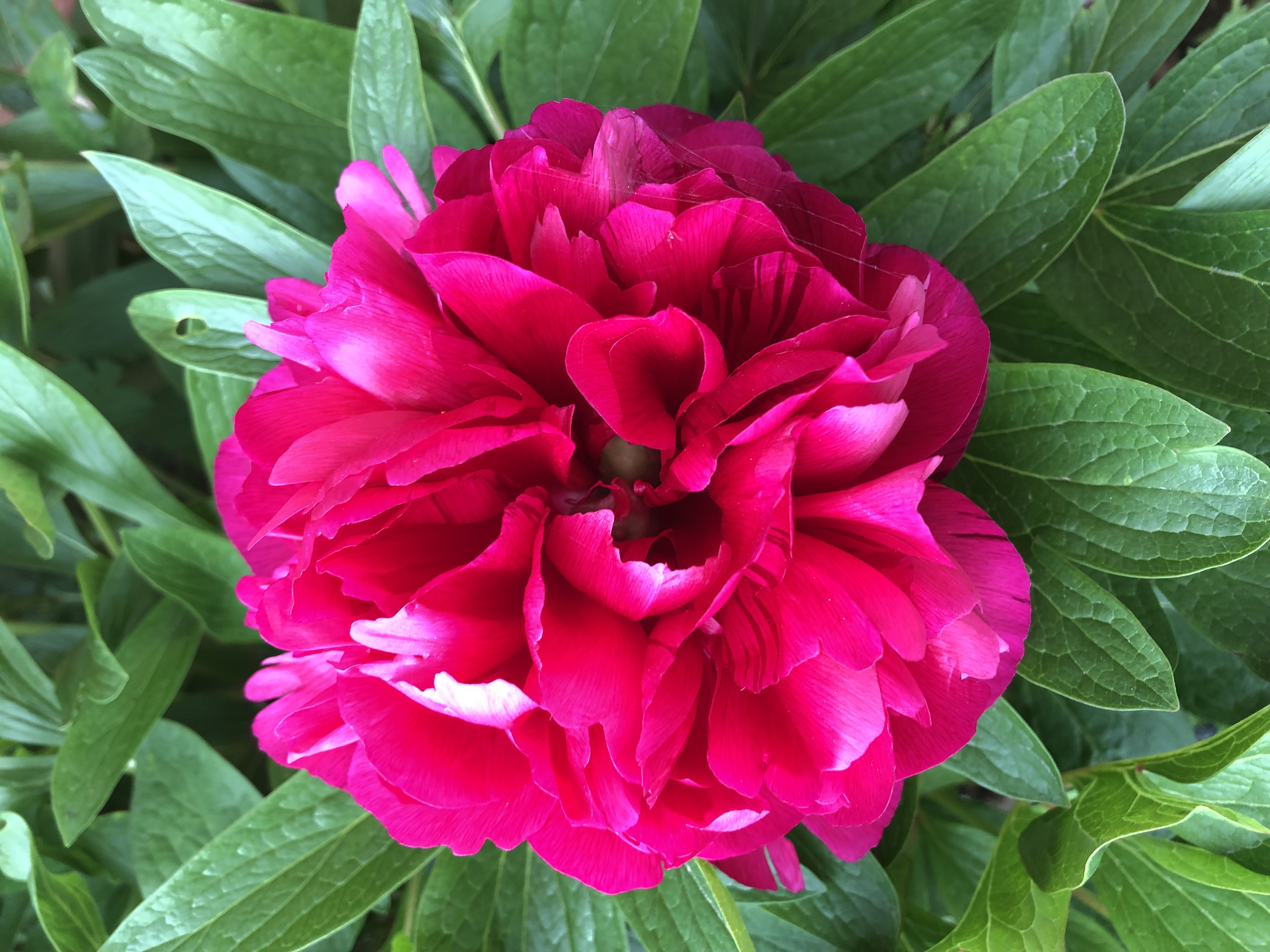 A perk of living in the South