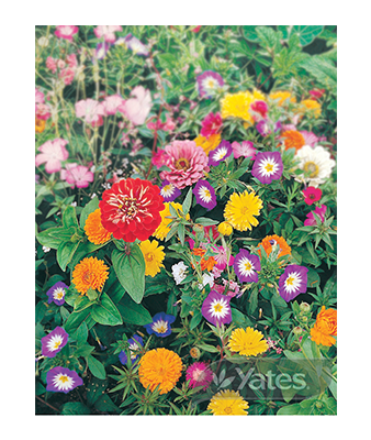 Cottage Garden Mix Product
