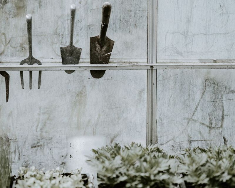 Top 5 Tools for the Garden