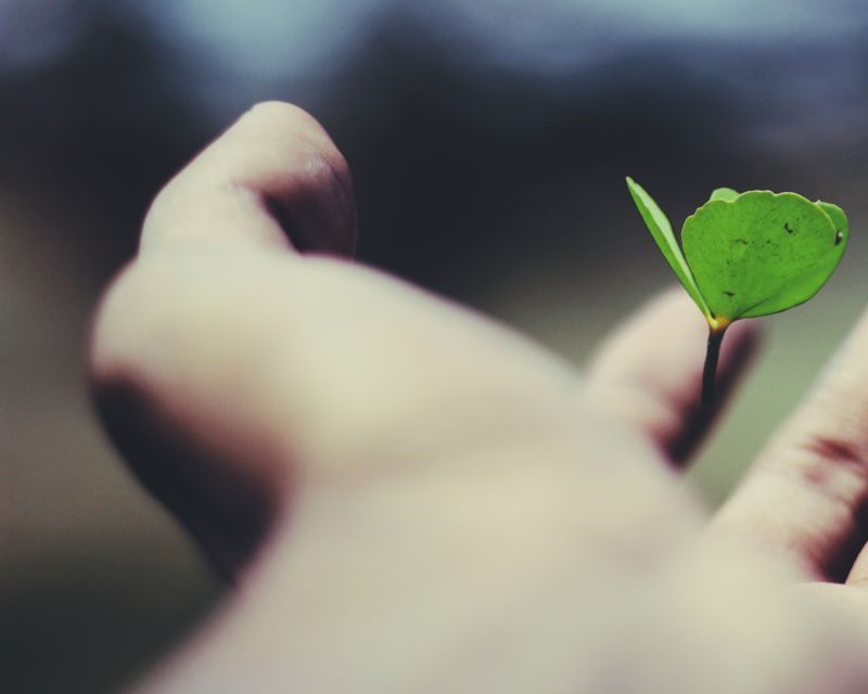 Safety in the Garden