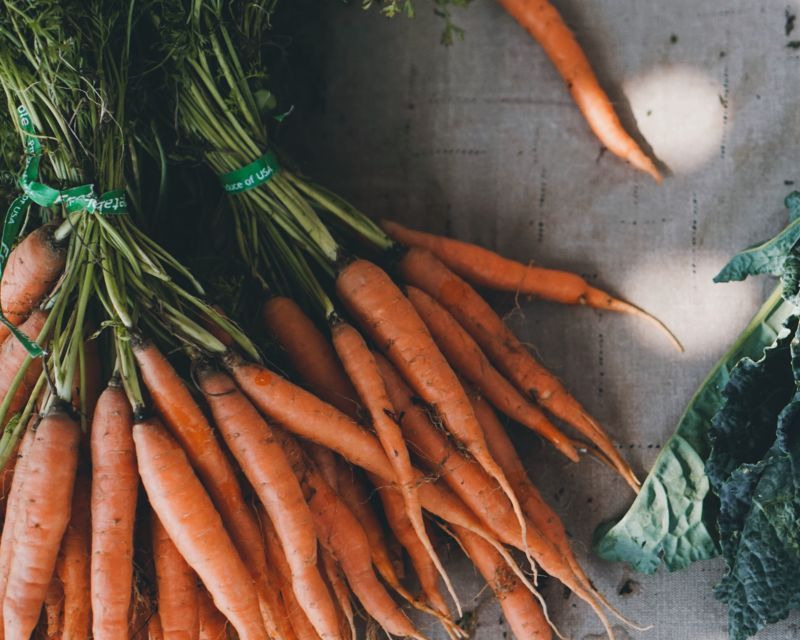 The basics of Feeding your Organic Garden