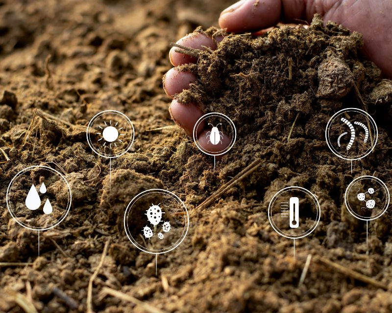 organic-fertilisers-6