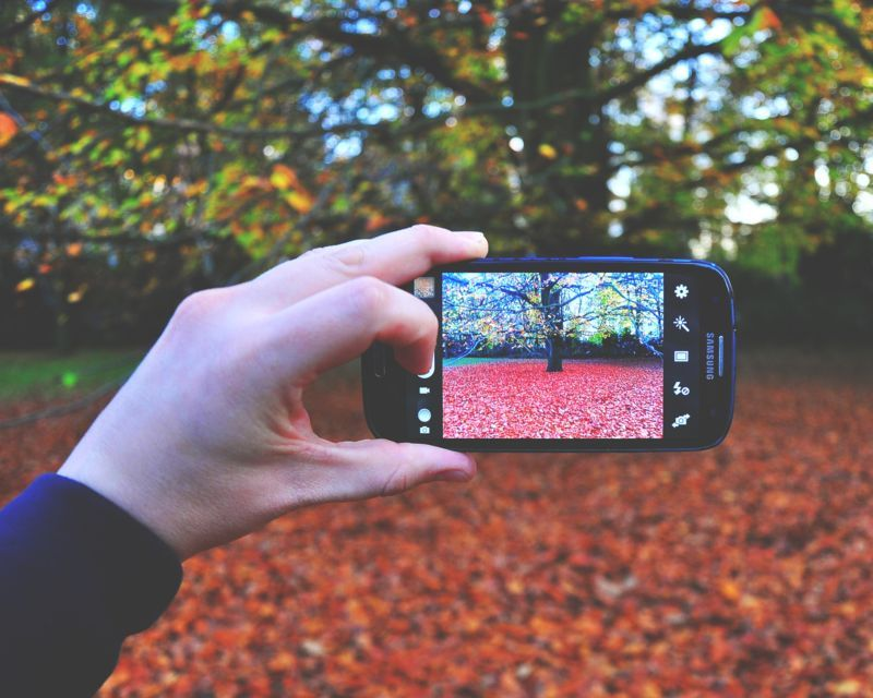 Protect your Garden in a Heatwave
