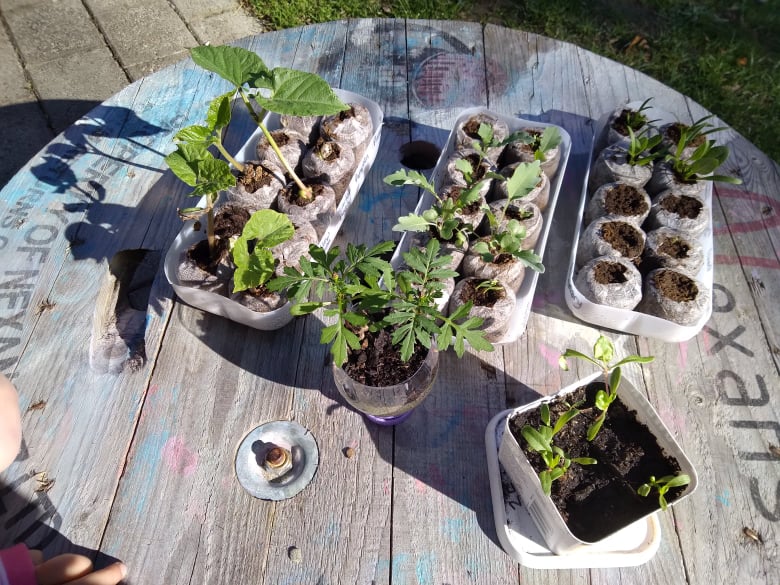 While the Sun-shines