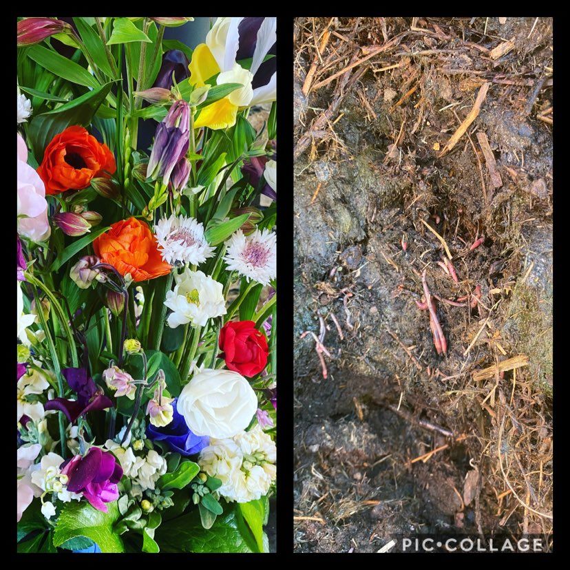 For the love of soil 