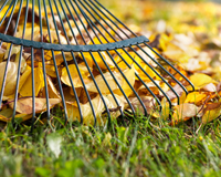 Autumn Lawn Care Tips