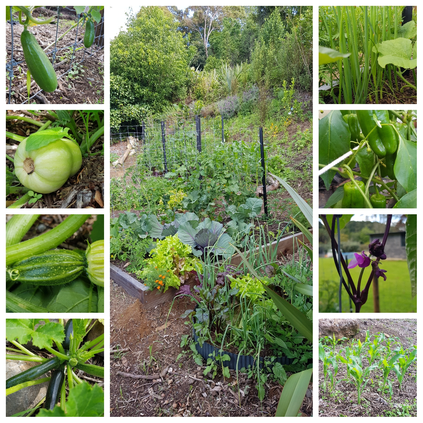 Sometimes things just work out 