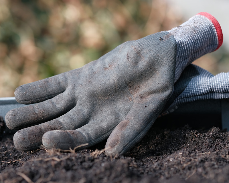 Safety in the Garden