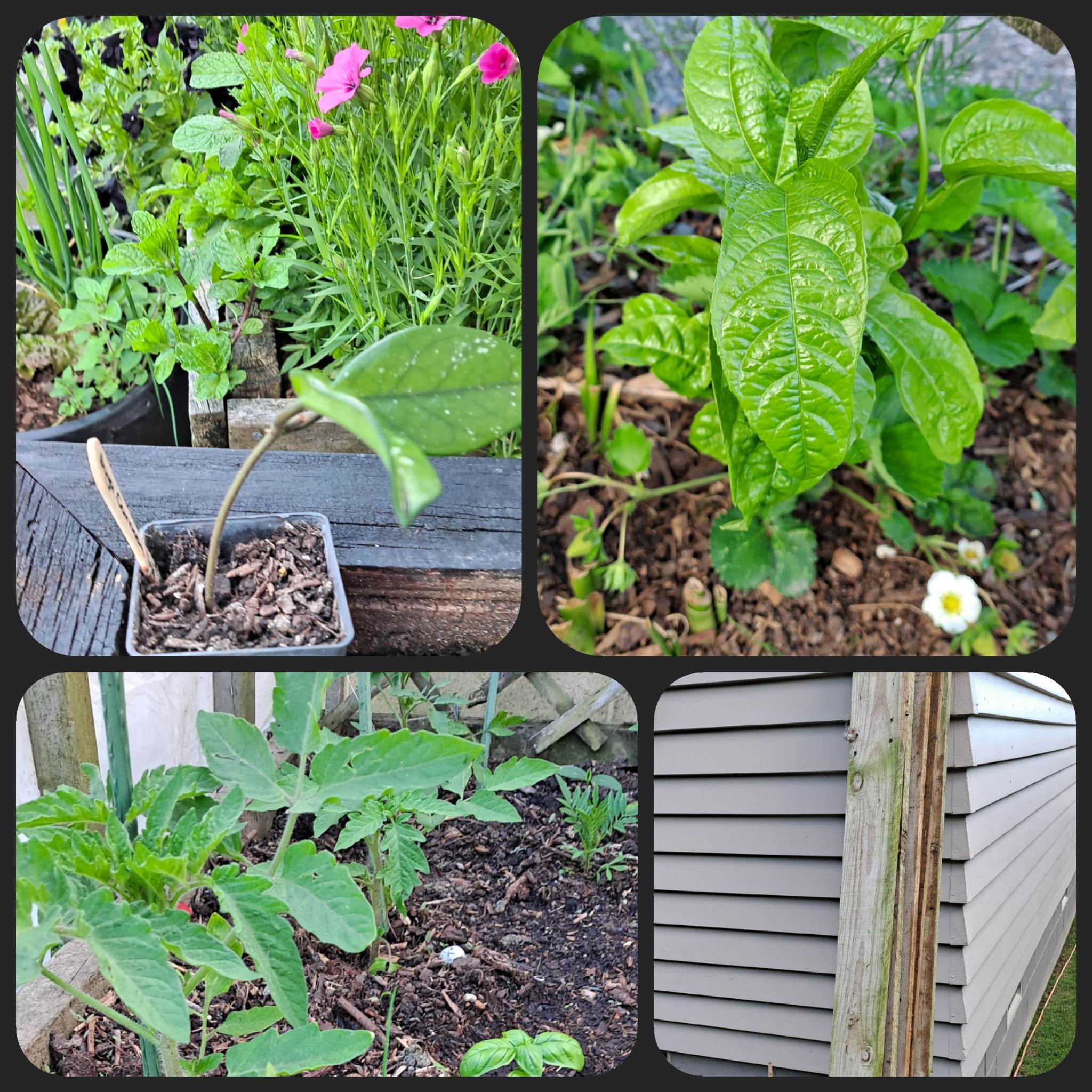 Keeping things on Track