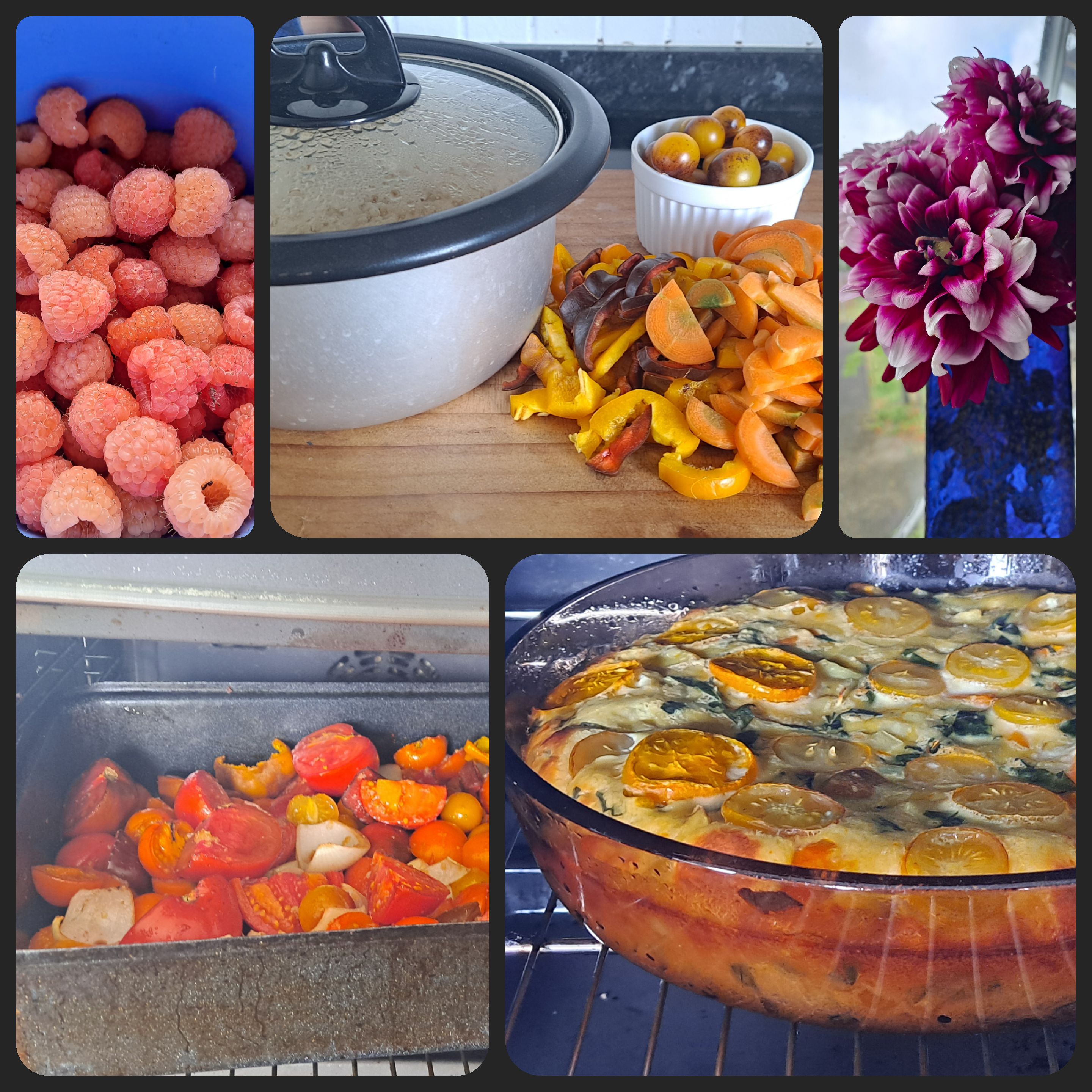 Finding My Grove Again