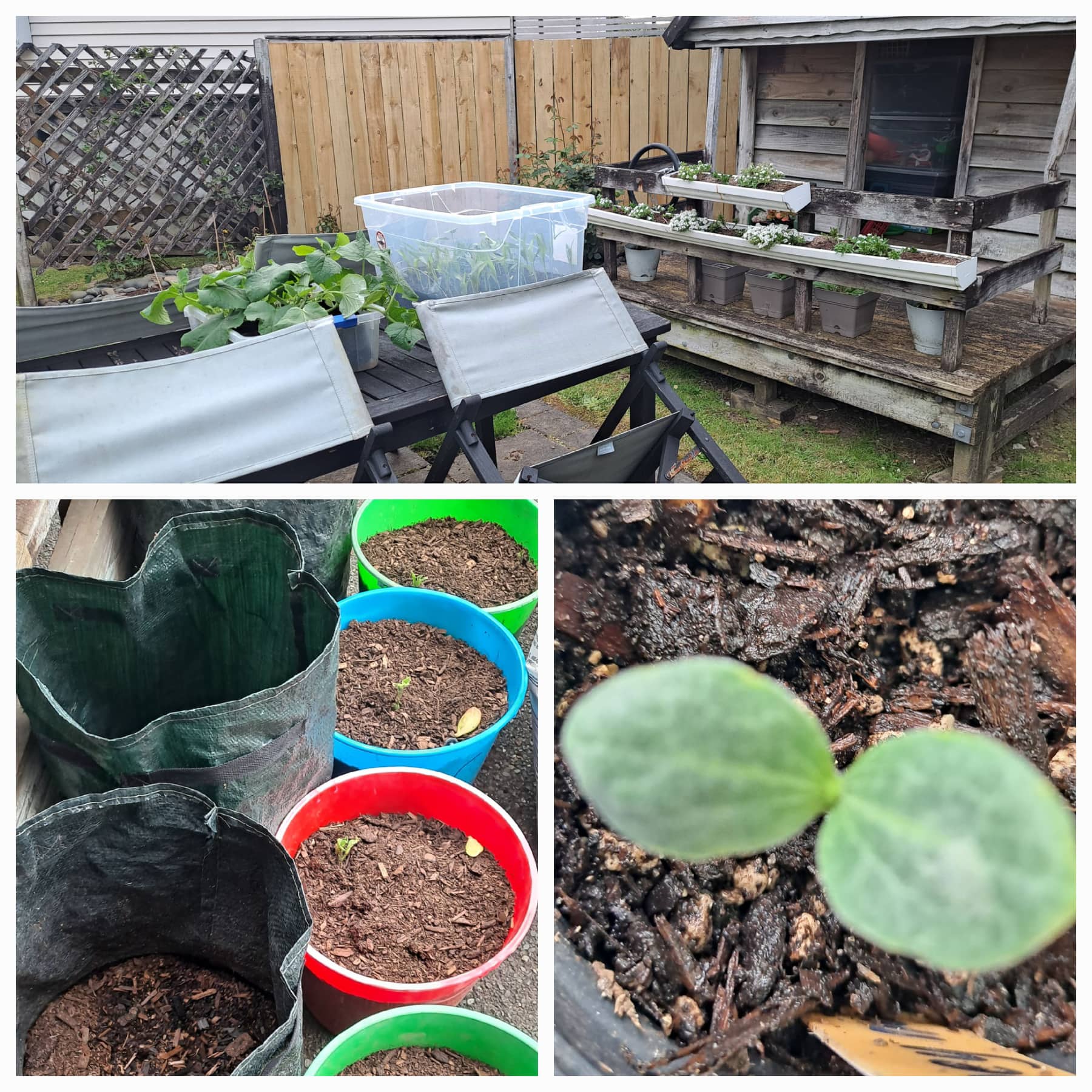 The End of Another Busy Week