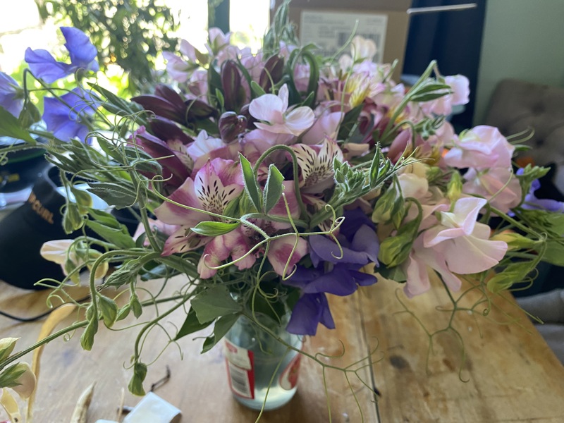 I picked myself flowers today