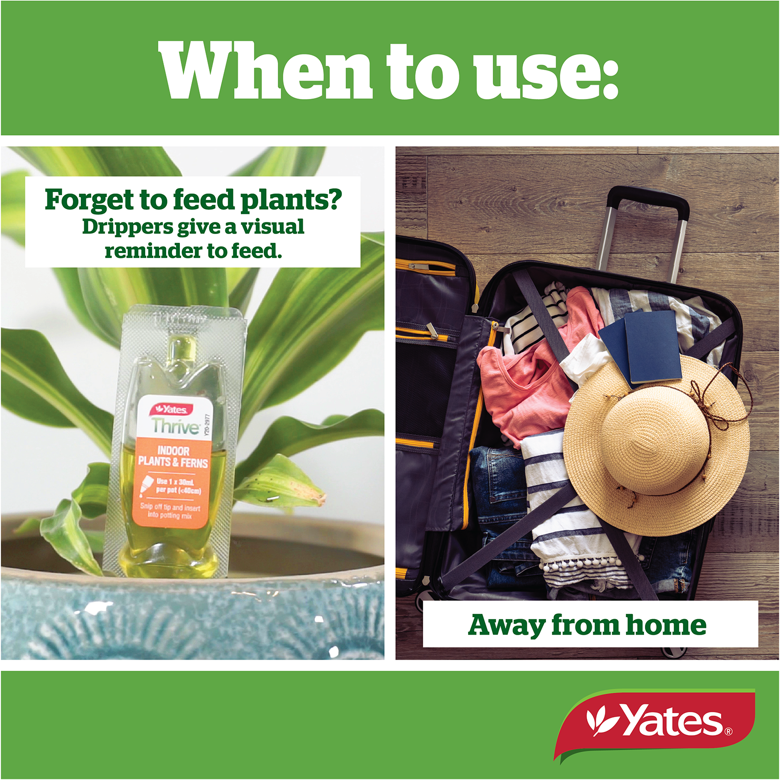 Yates Plant Drippers Indoor V2 04