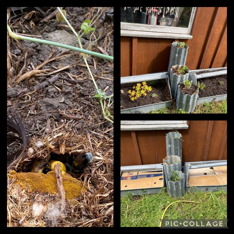 New life to old things