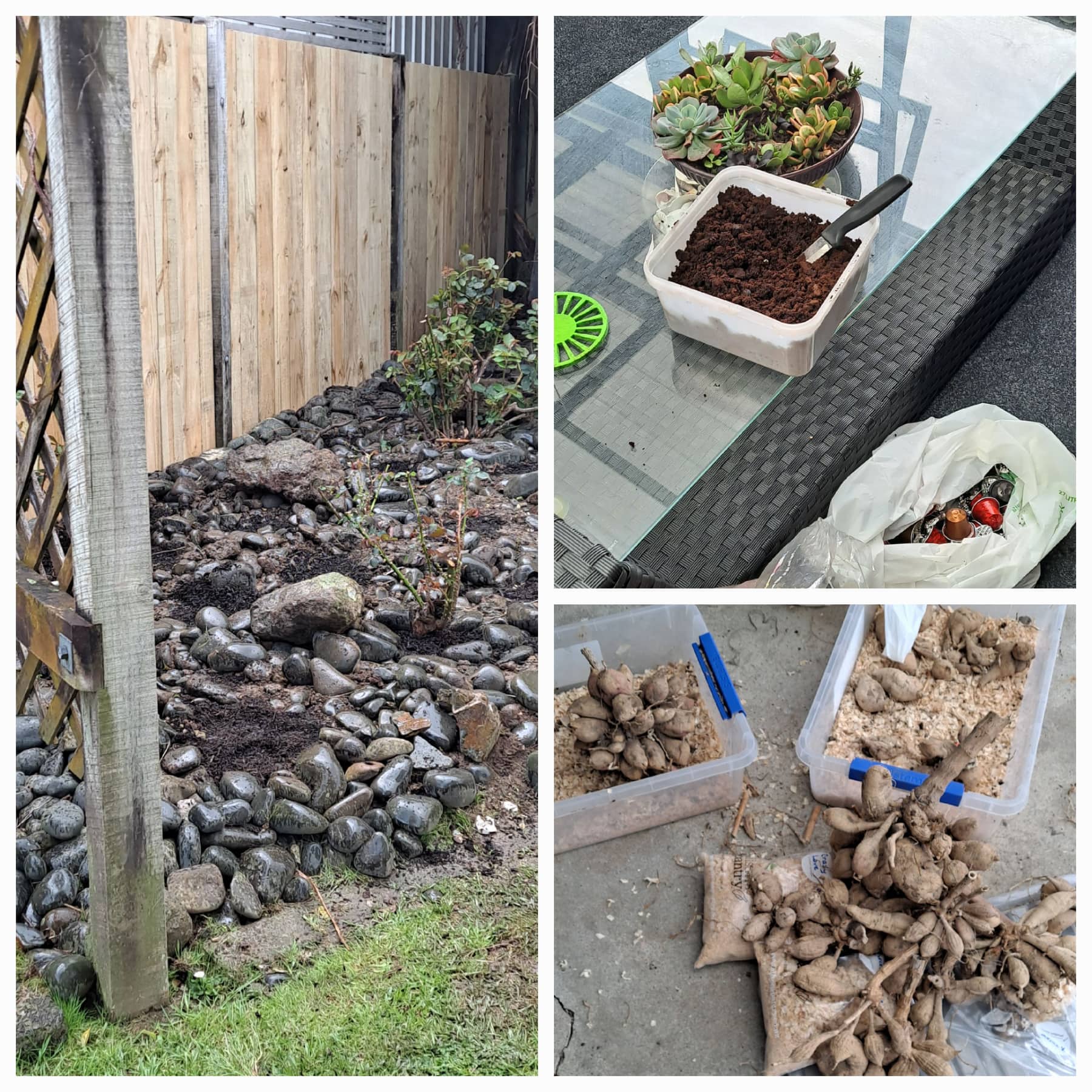 A Hectic Kind of a Day