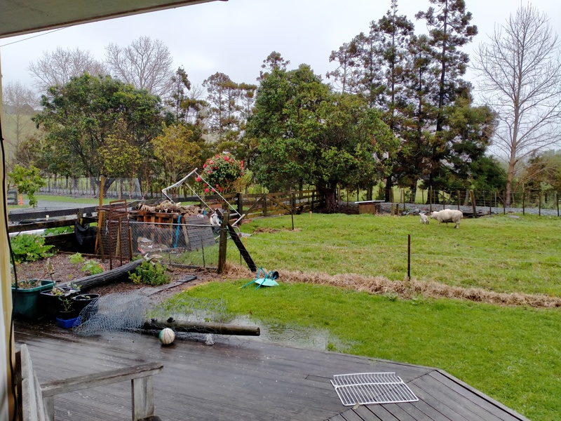 Rain, lambs and soggy gardens