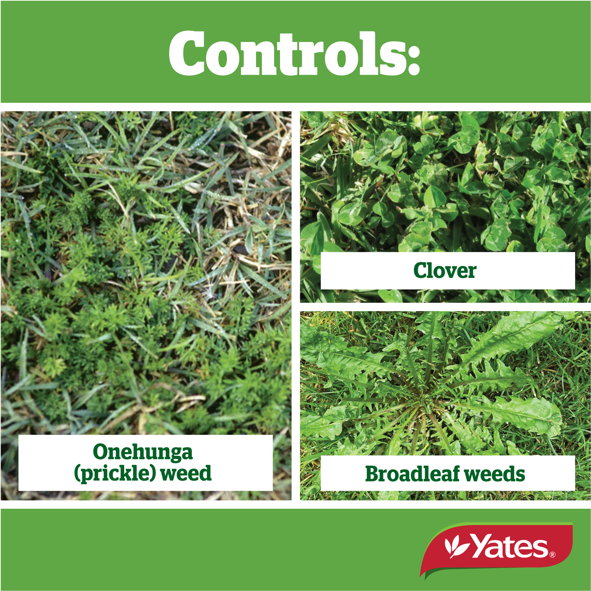 Yates Web Info Wnf CONC3