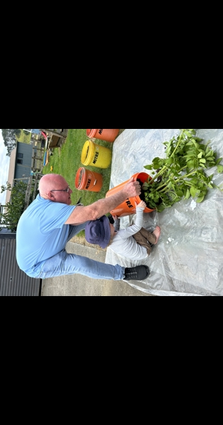 Yearly Potato Bucket growing comp