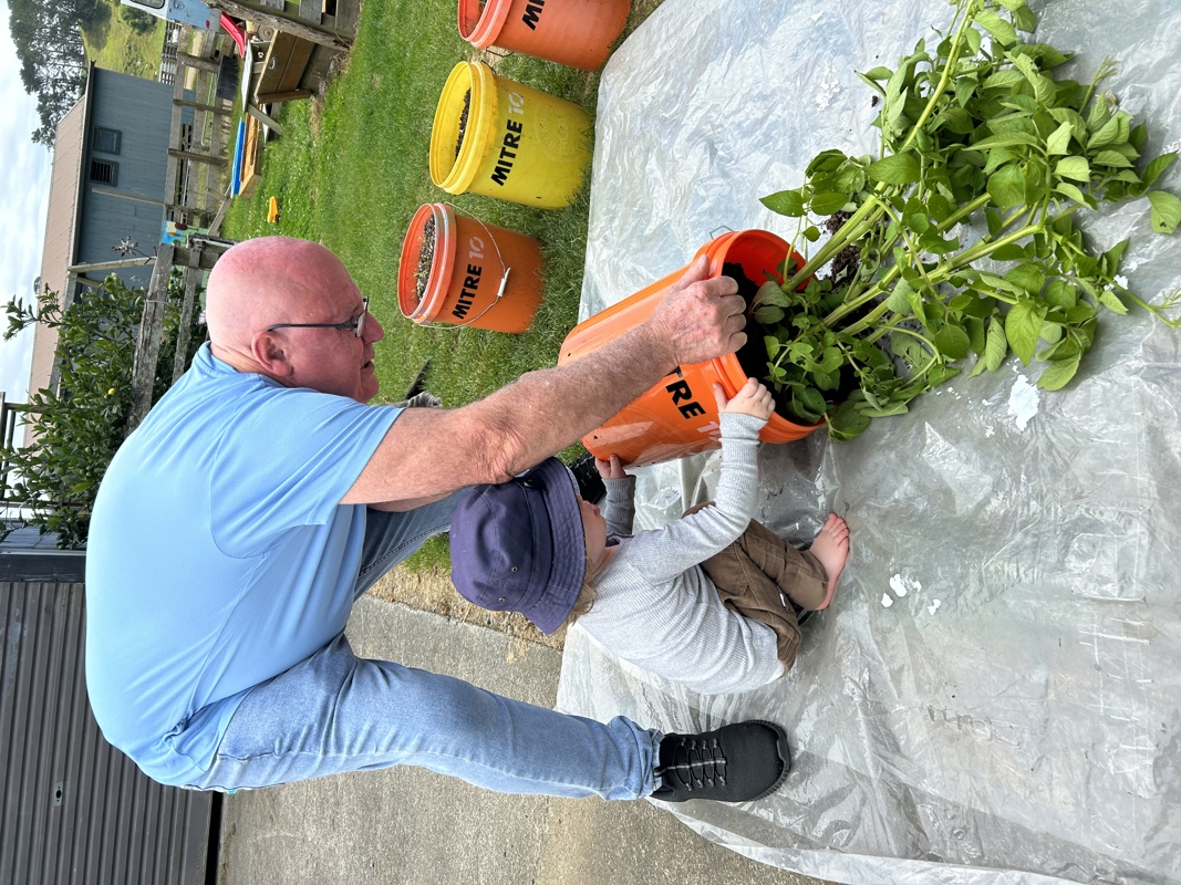 Yearly Potato Bucket growing comp