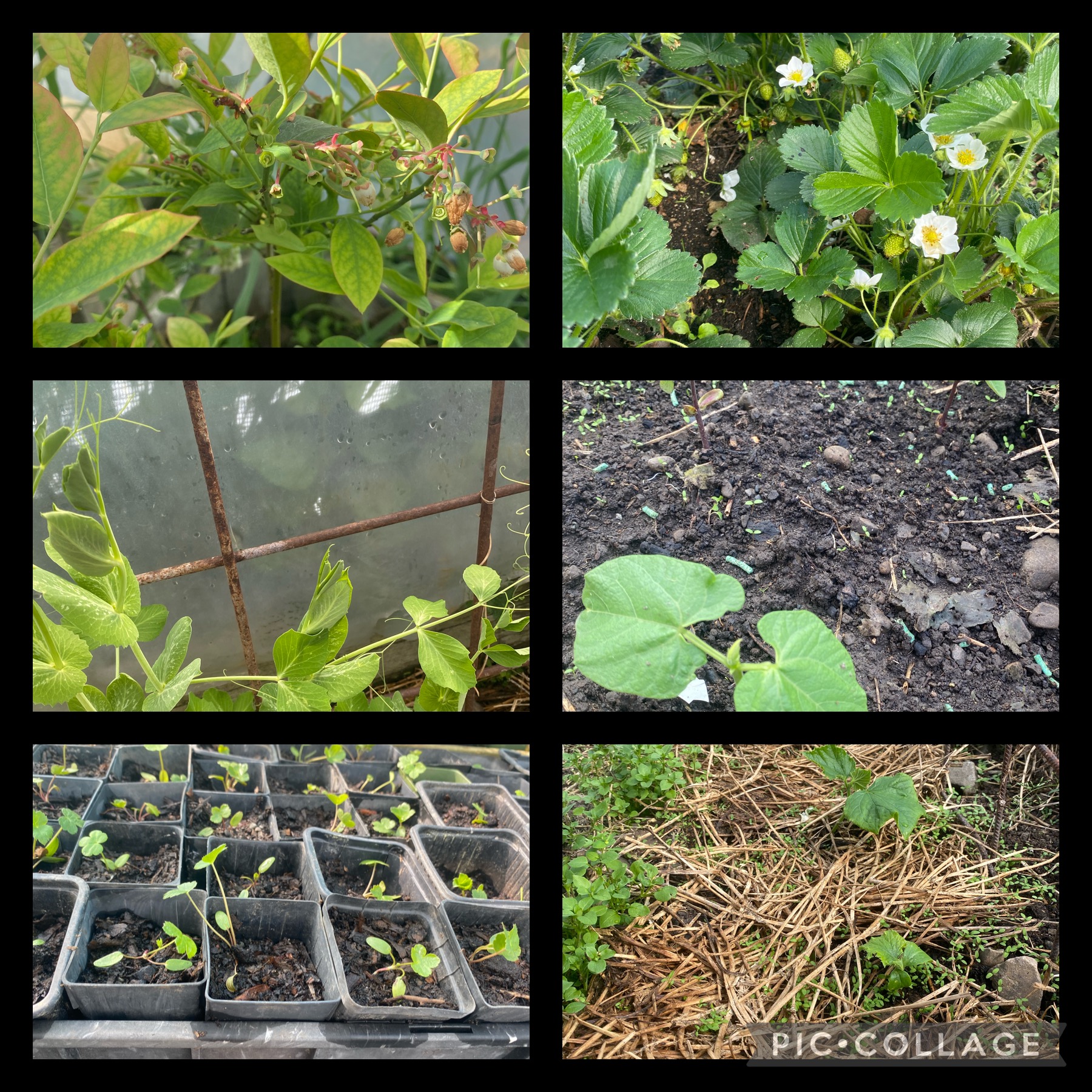 4 seasons in one day 