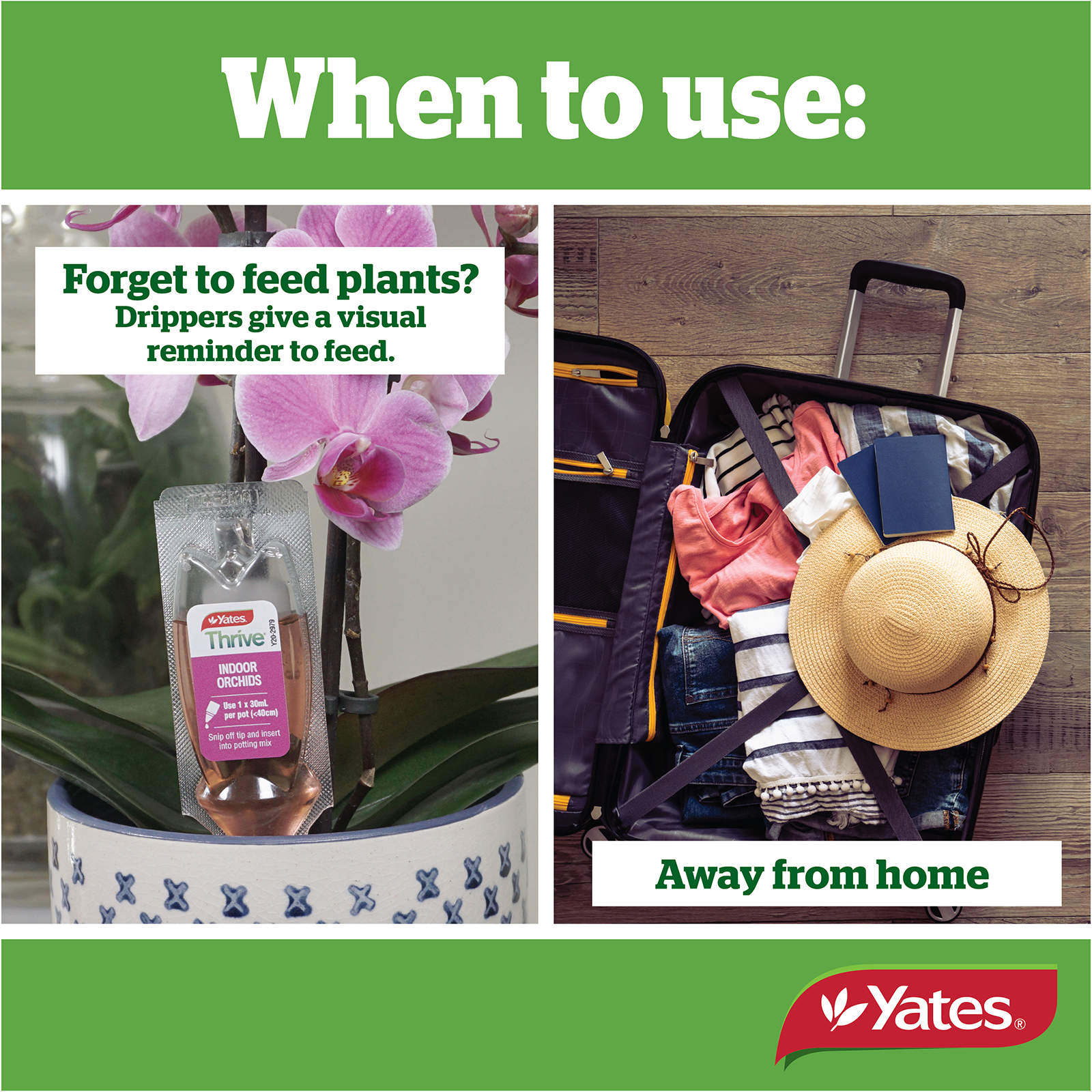 Yates Plant Drippers Orchid V2 04