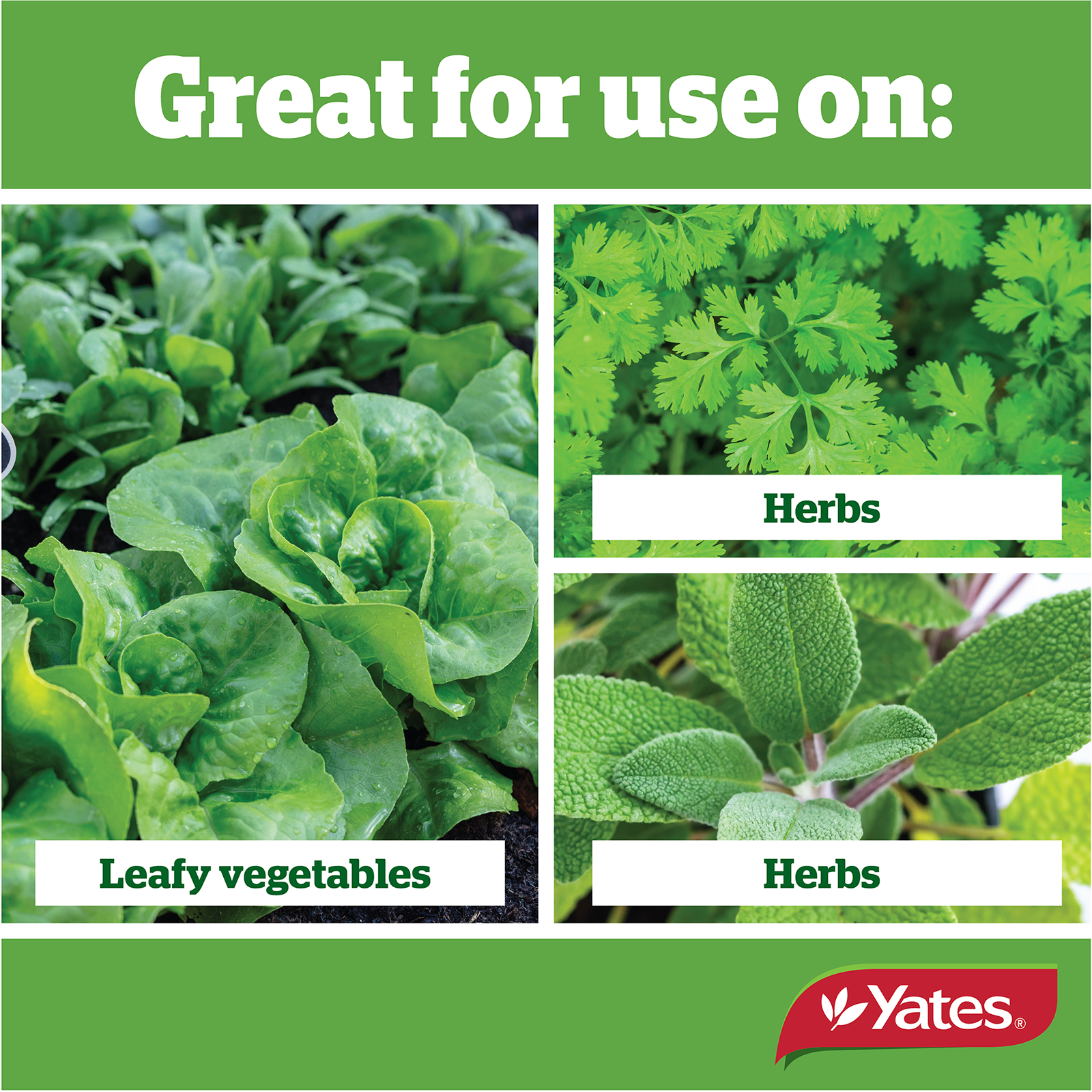 Yates Veg & Herb Liquid V2 04