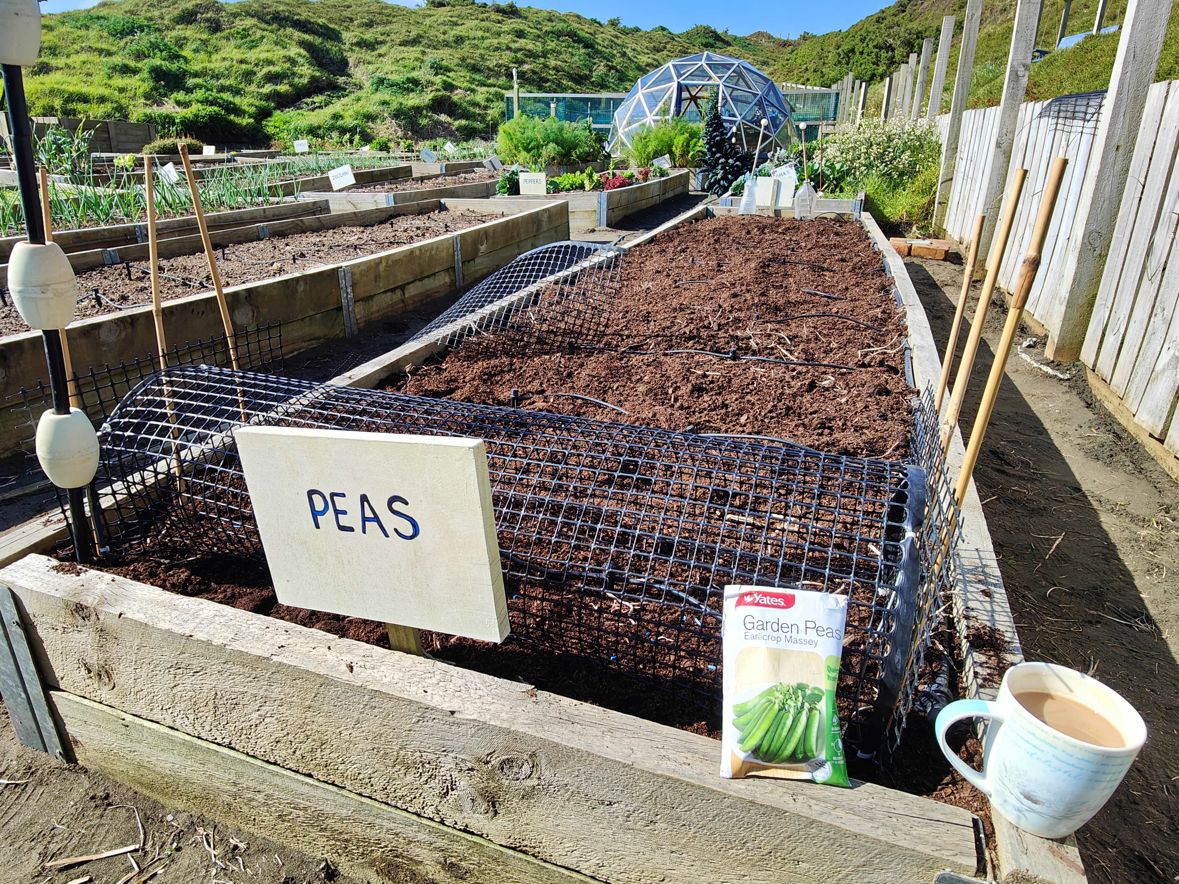 Enjoy time in the garden.