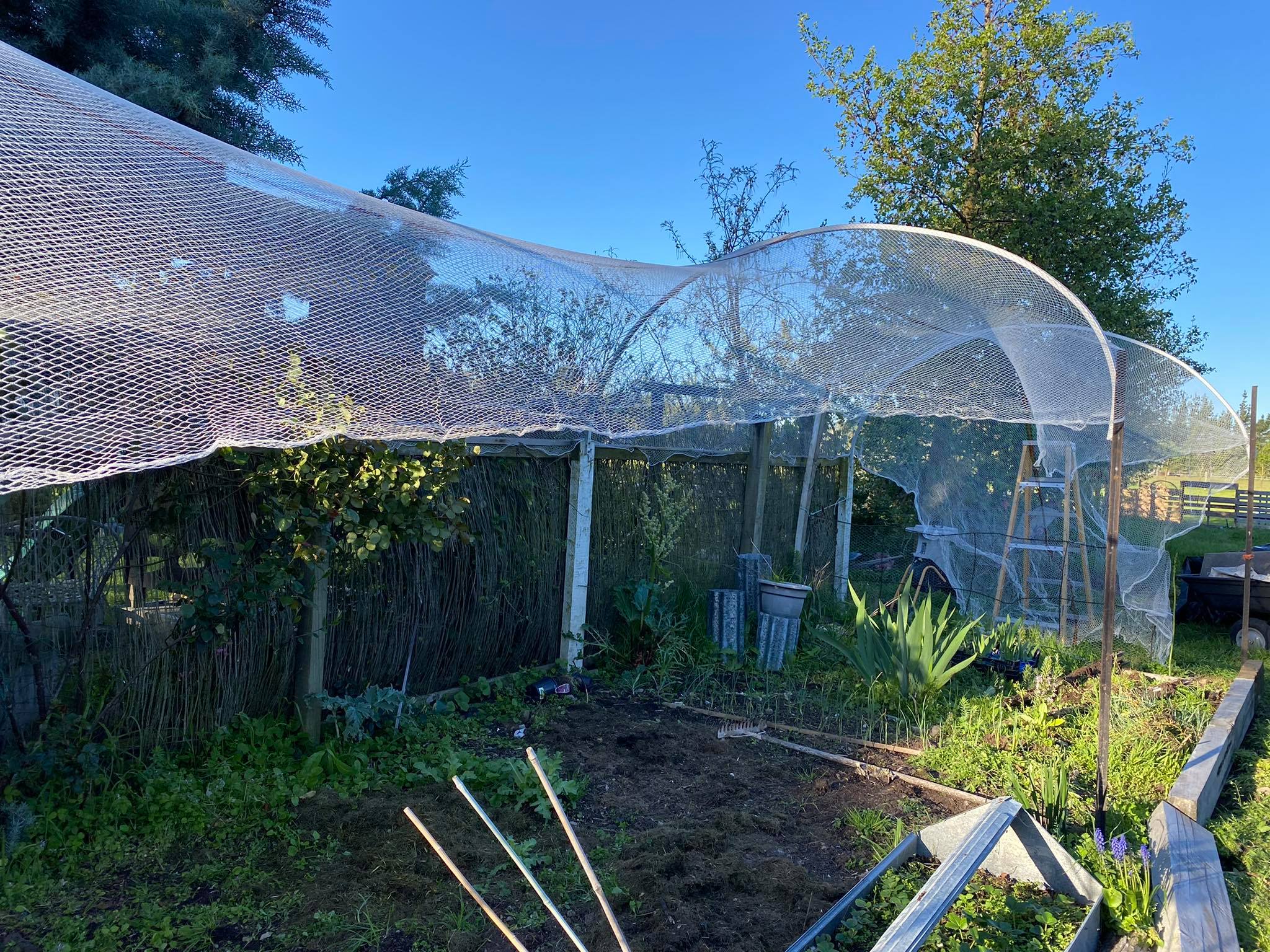 Not this year ya sucker 