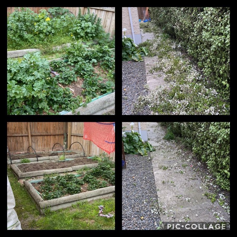 A clean space for a newbie