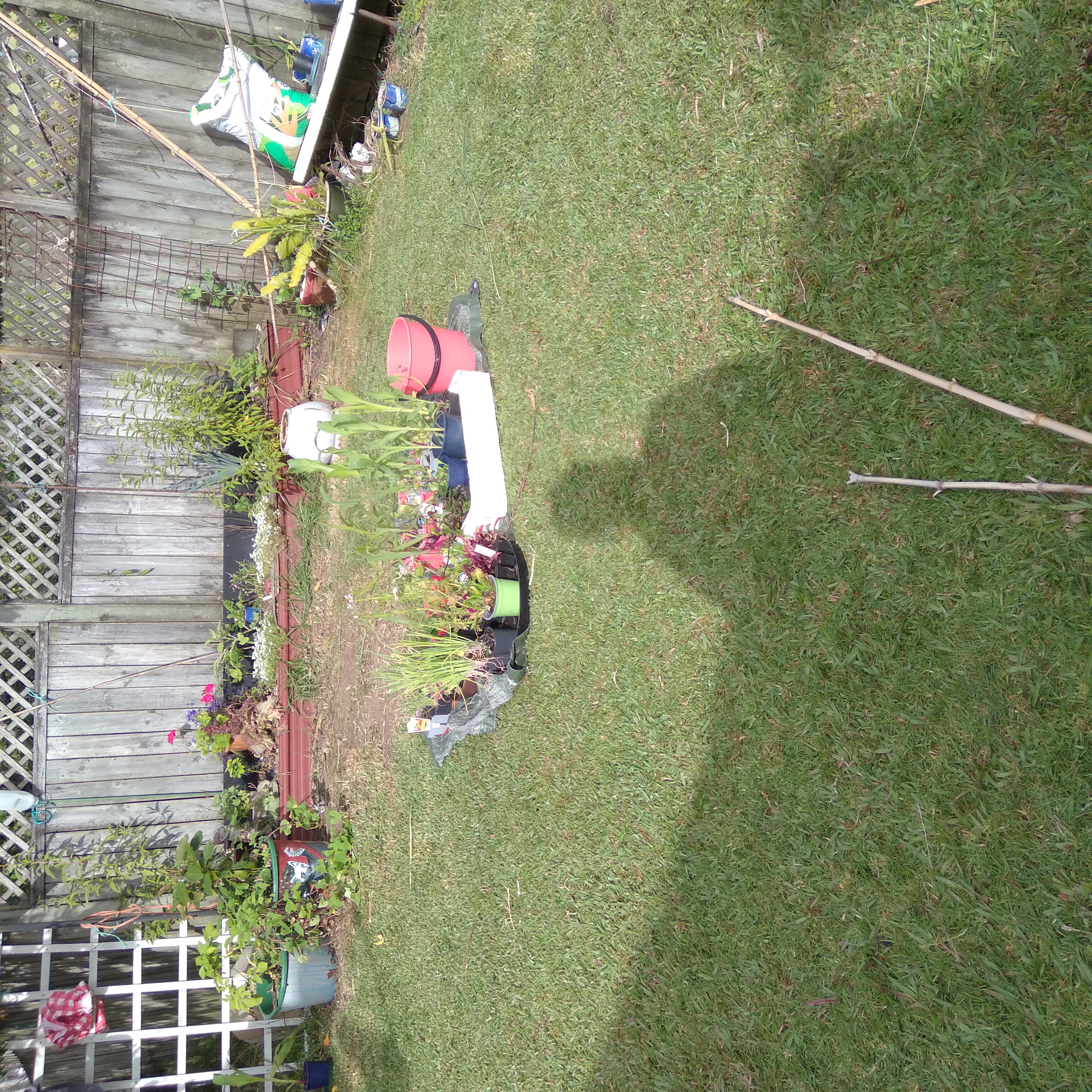 Garden just feels 'sad'