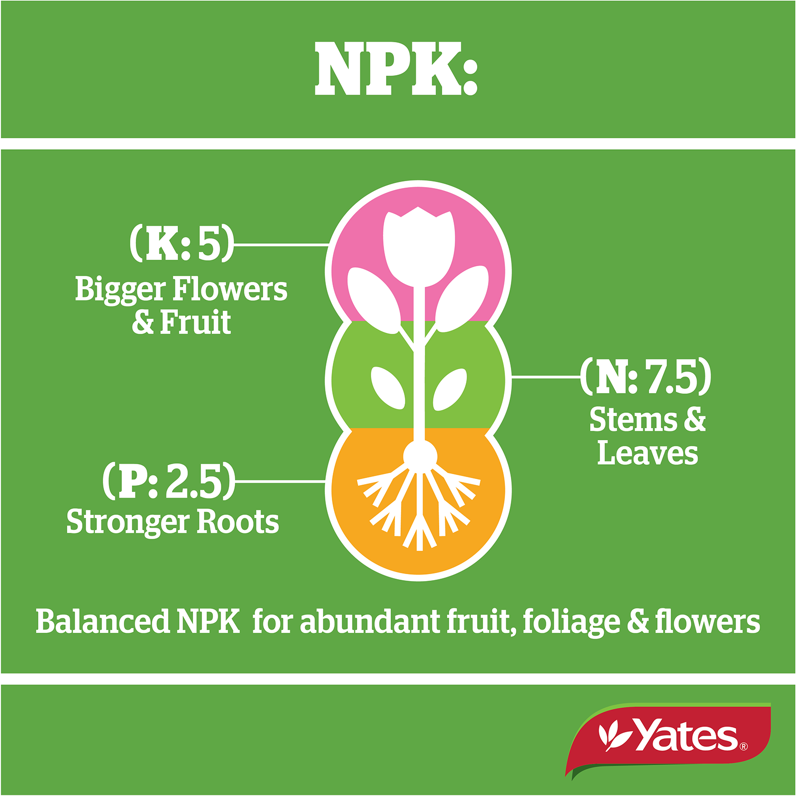 Yates All Purpose Granulars V1 06