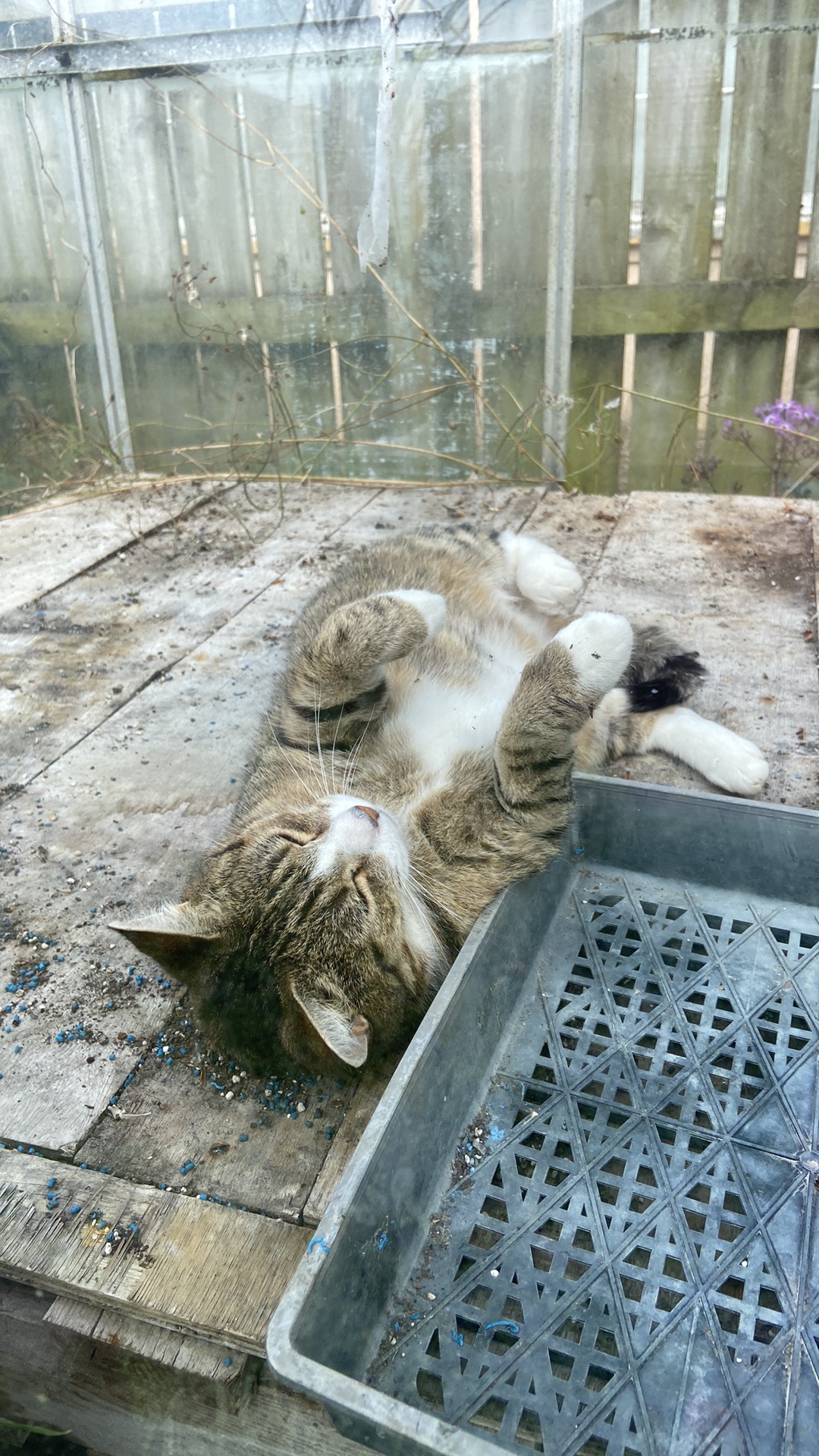 A weekend in the garden 😍