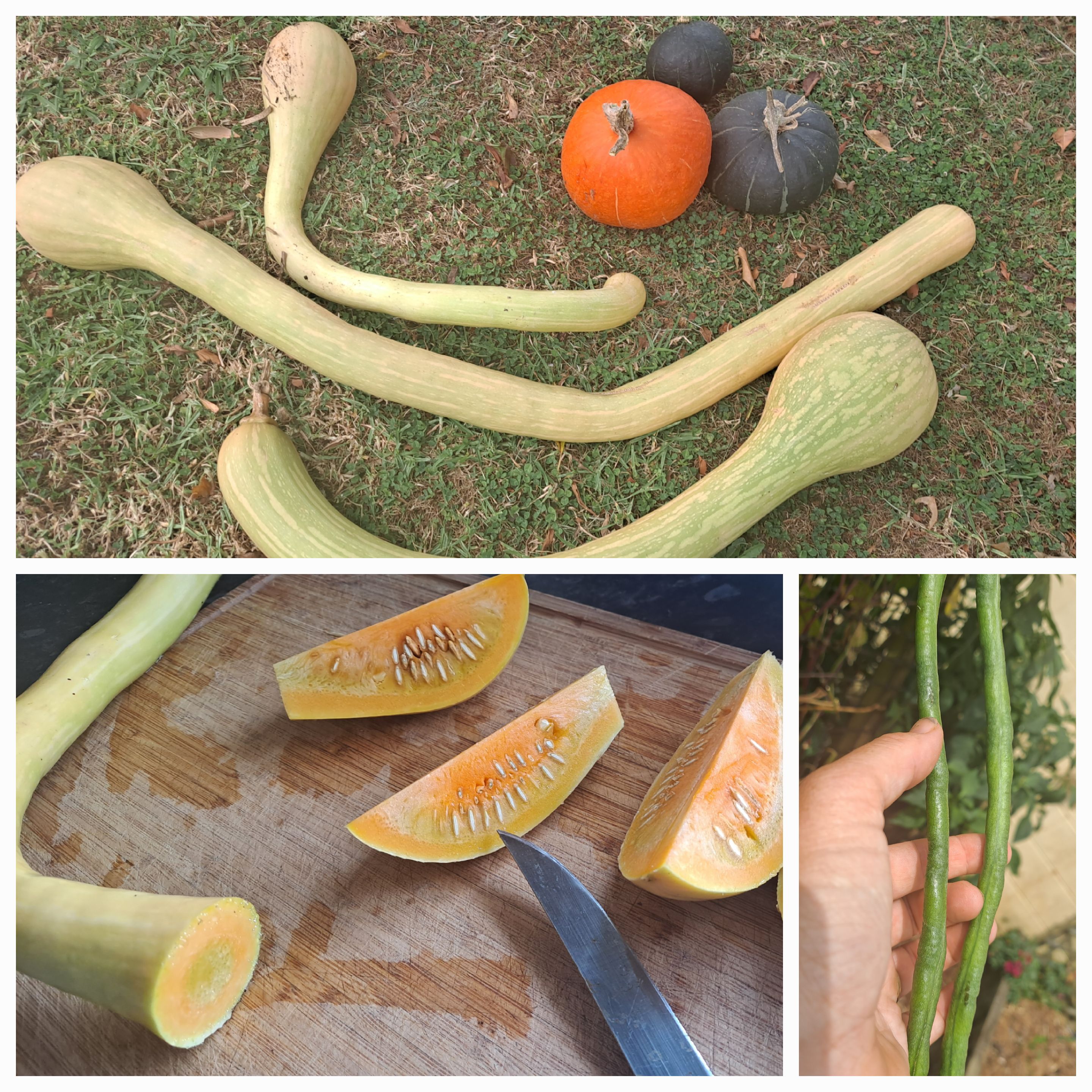 Definitely a successful season so far