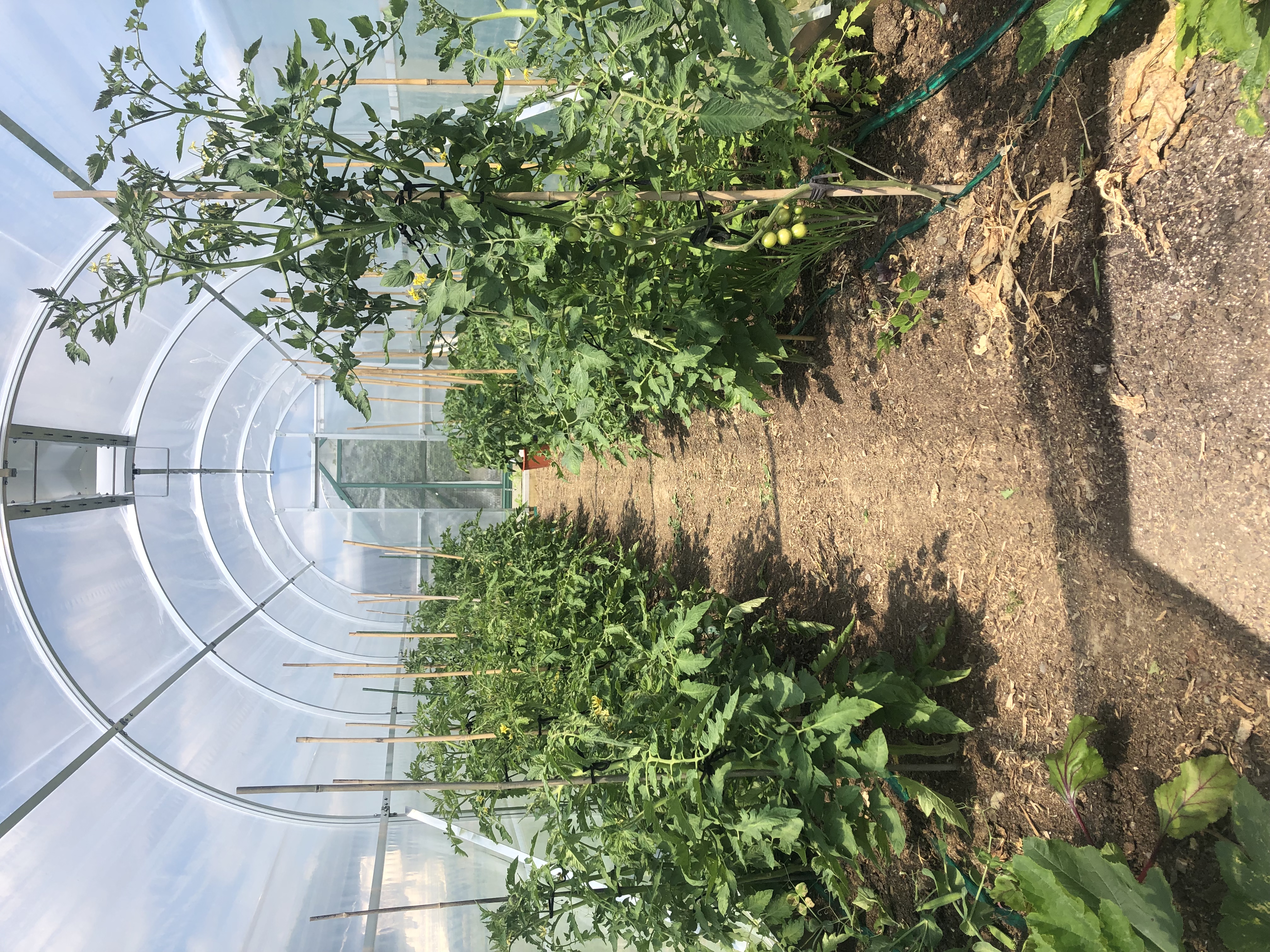 No way your breaking on me again!