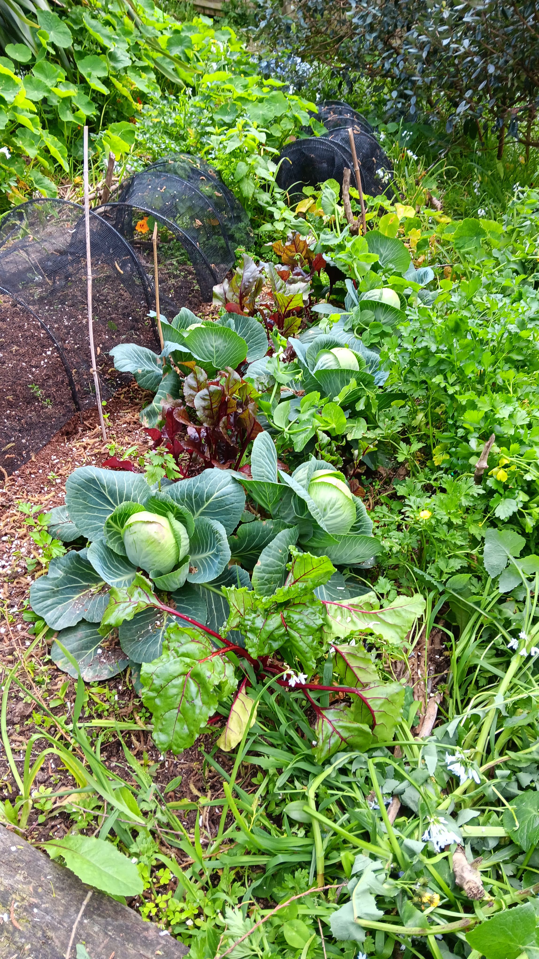 Fools spring is almost over!